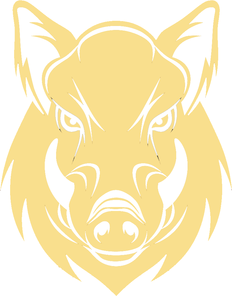 Domestic Pig Clipart (795x1013), Png Download