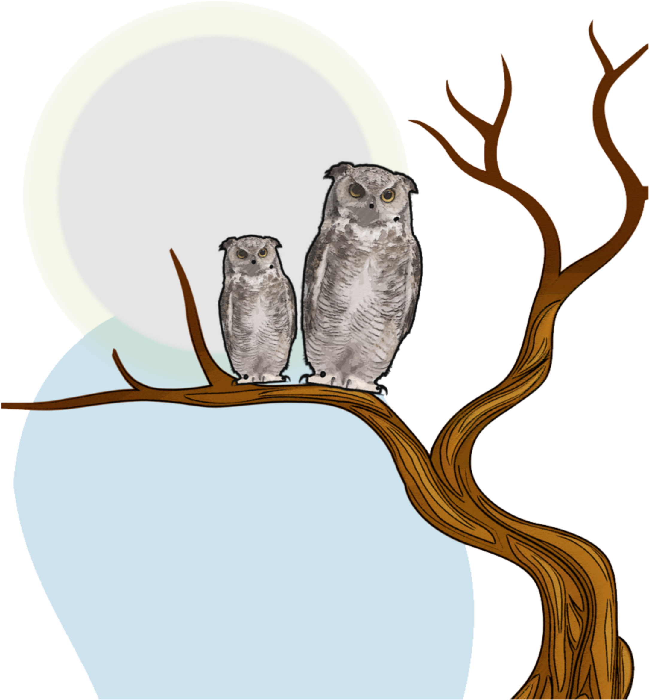 Illustration Clipart (2896x2896), Png Download