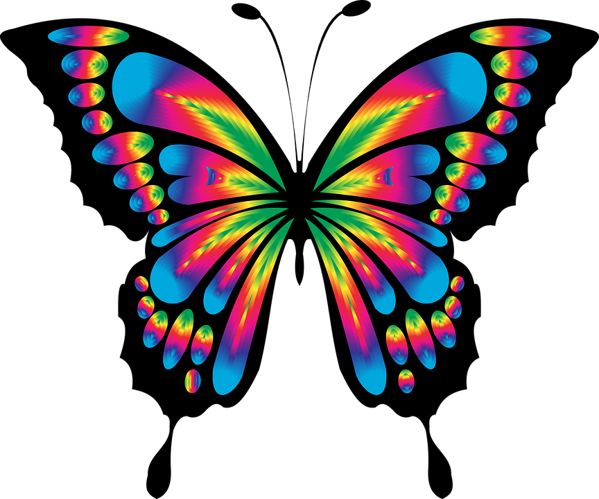 Colorful Butterfly Drawing Clipart (864x720), Png Download
