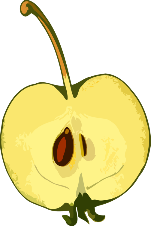 Plant,flower,apple - Semente Da Maça Png Clipart (503x749), Png Download