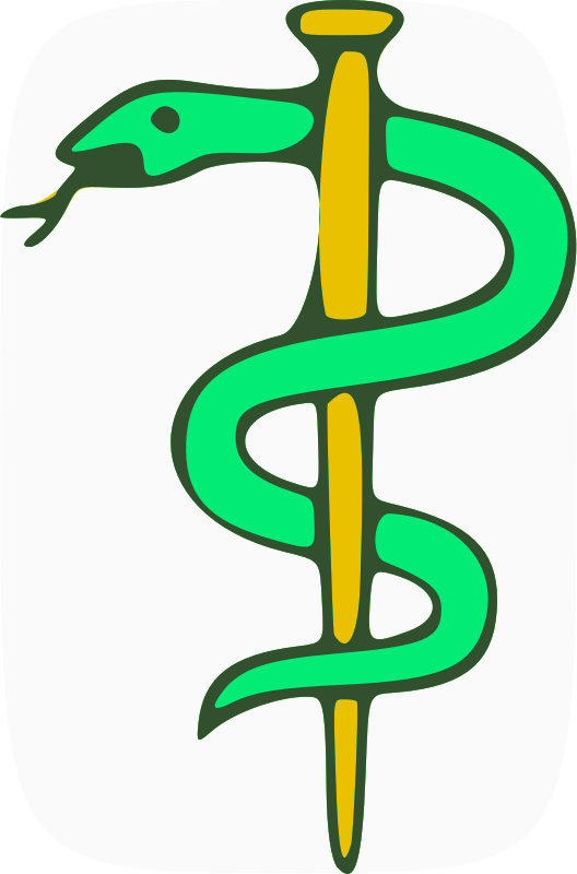 Caduceus - Medical Prescription Clipart (528x800), Png Download