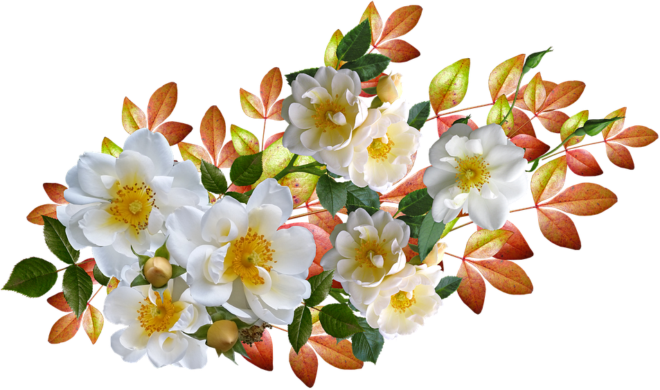 Frases Feliz Dia De San Valentin Clipart (960x570), Png Download