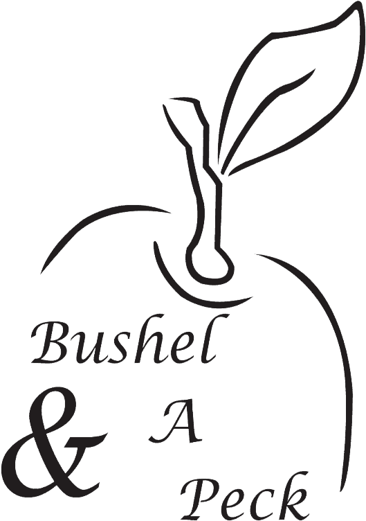 Line Art Clipart (557x800), Png Download