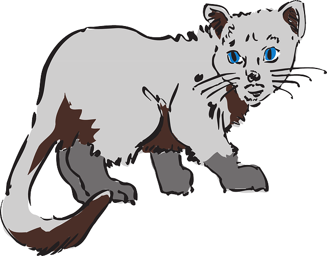Cat, Gray, Art, Pet, Animal, Fur - Cat Coloring Pages Clipart (640x501), Png Download