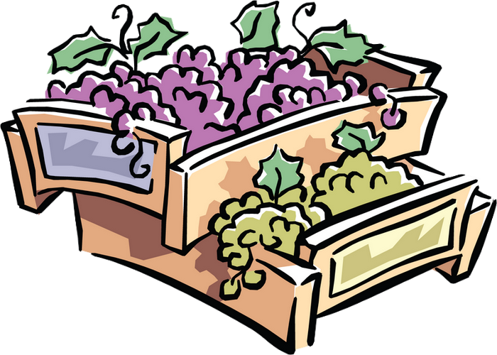 Raisin - Clipart - Png Download (700x500), Png Download