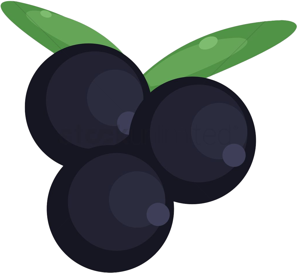 Blackcurrant Fruit Transparent - Cherry Clipart (1300x1300), Png Download