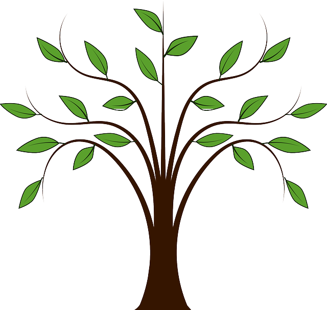 Forest, Leaves, Nature, Plant, Spring, Tree - Tree With Leaf Drawing Clipart (640x607), Png Download