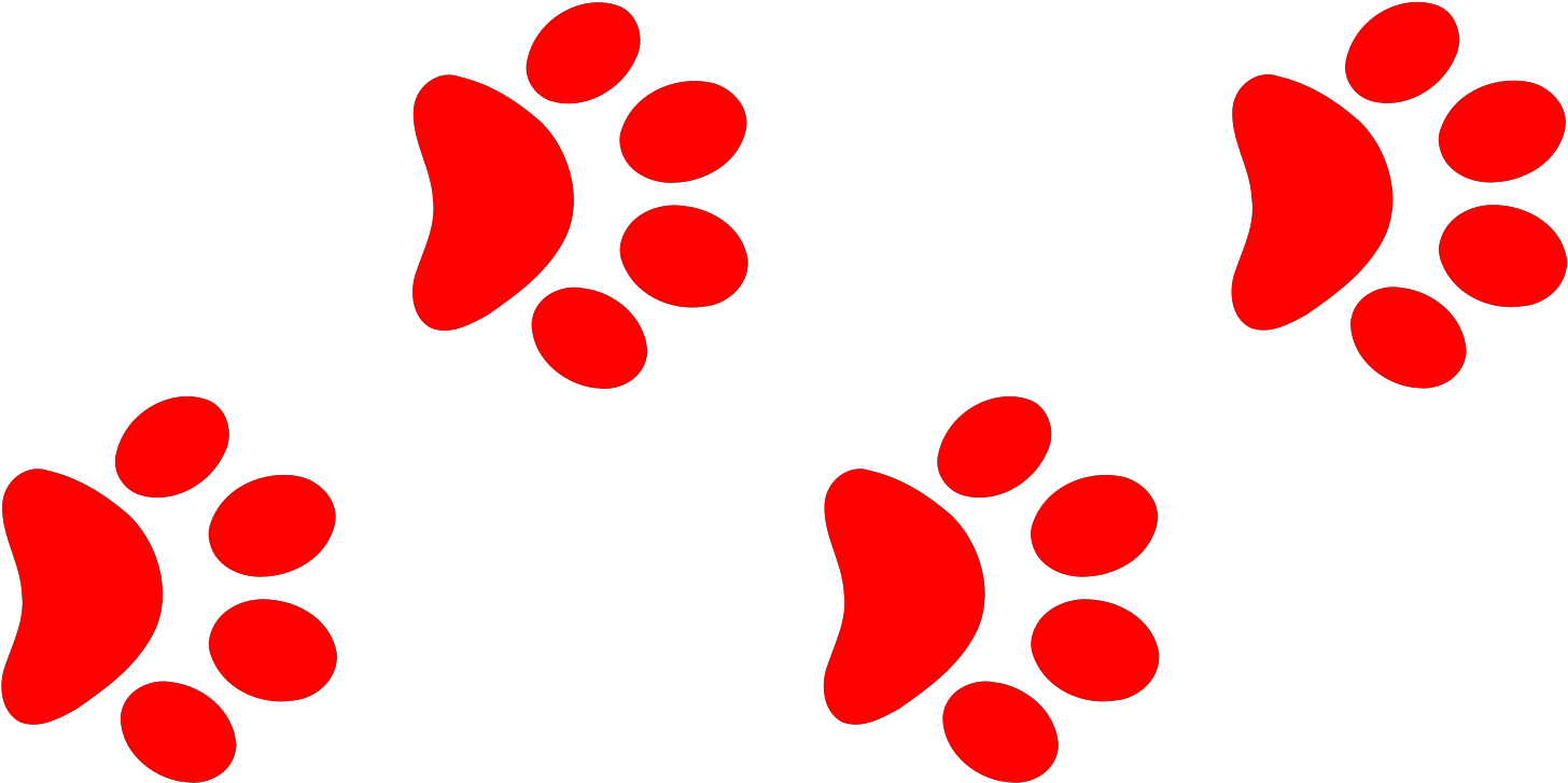 Circle Clipart (1600x1600), Png Download