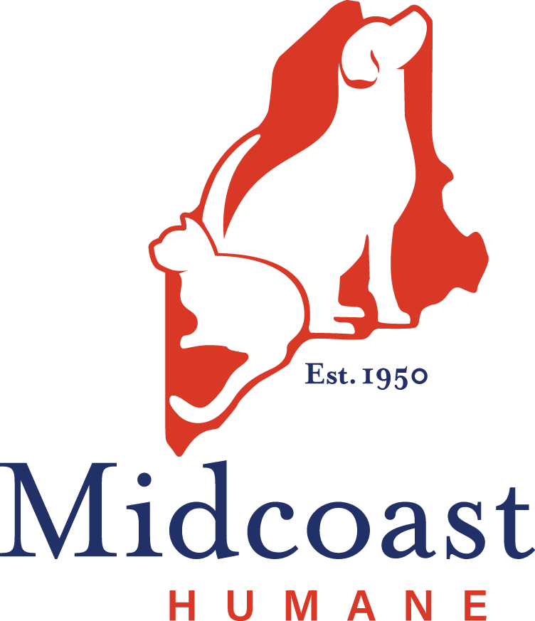 Homeless Shelter Clipart - Png Download (752x873), Png Download