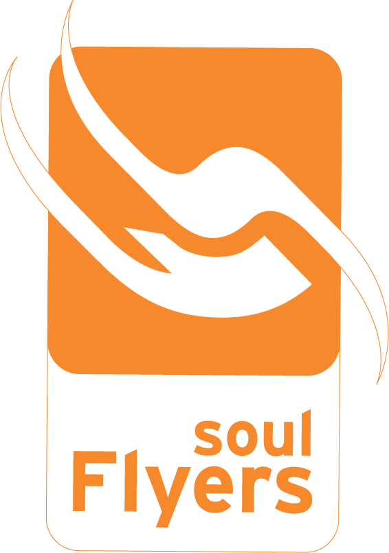 Soul Flyers Clipart (566x804), Png Download