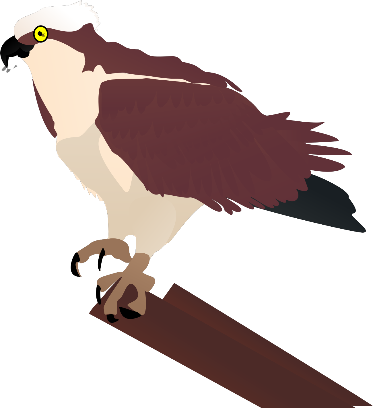 Vector Bird Vector Clipart Osprey - Png Download (1600x1421), Png Download