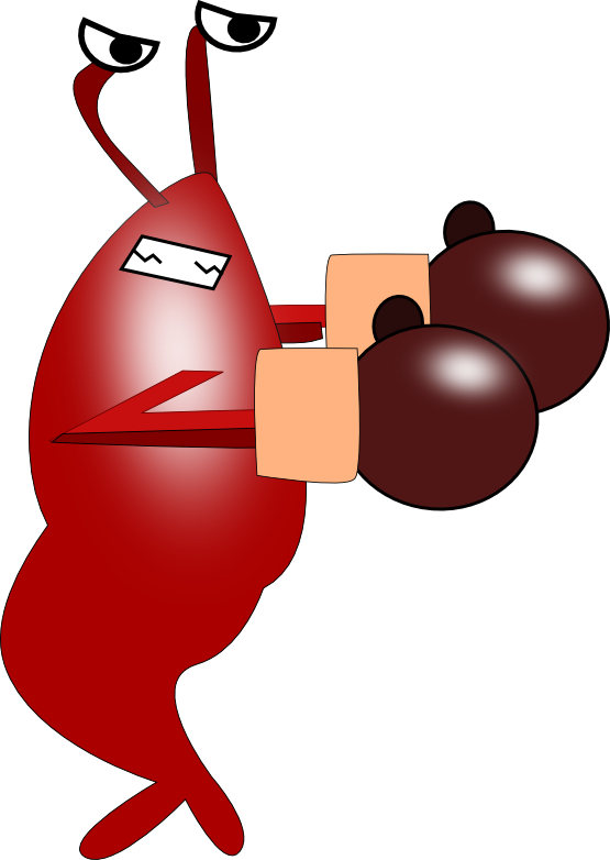 Boxing Turkey Clipart Banner Royalty Free Library Clipart - Mantis Shrimp With Boxing Gloves - Png Download (555x782), Png Download