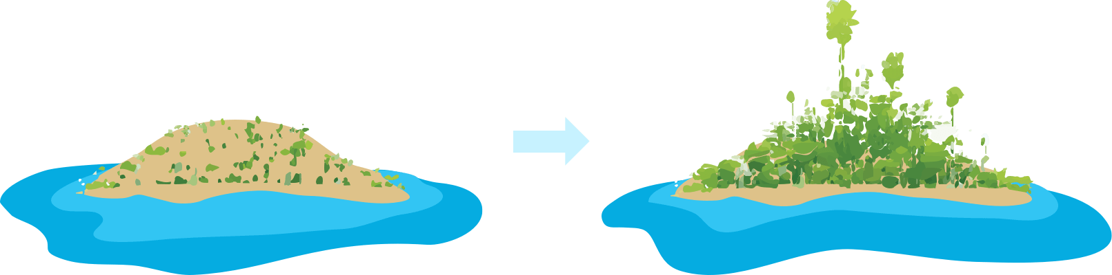 Extinct Wildlife Of The Mascarene Islands Clipart (1612x400), Png Download