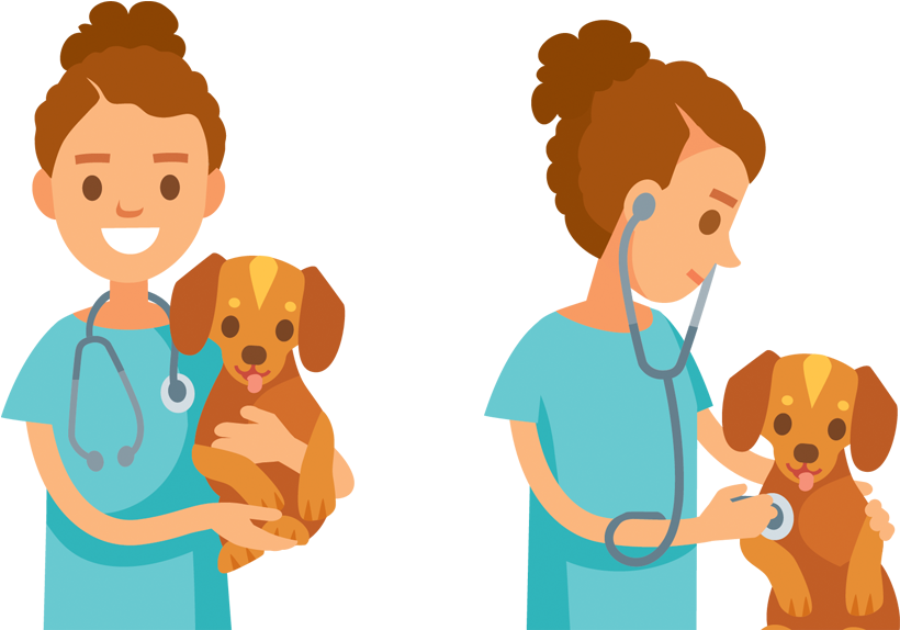 Digicare Commited To Veterinarian Medicine - Veterinarian Clipart - Png Download (856x592), Png Download