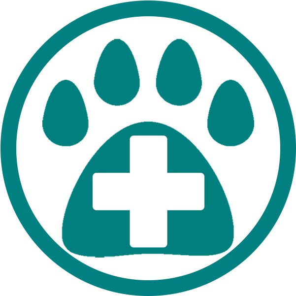 Cross Clipart (800x600), Png Download