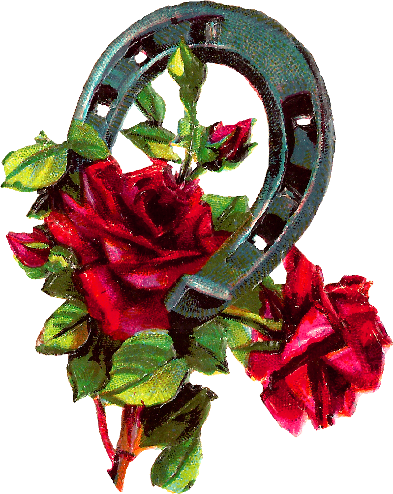 Good Luck Clipart Red Roses Horseshoe Digital Download - Horseshoe With Rose Clipart - Png Download (874x1090), Png Download