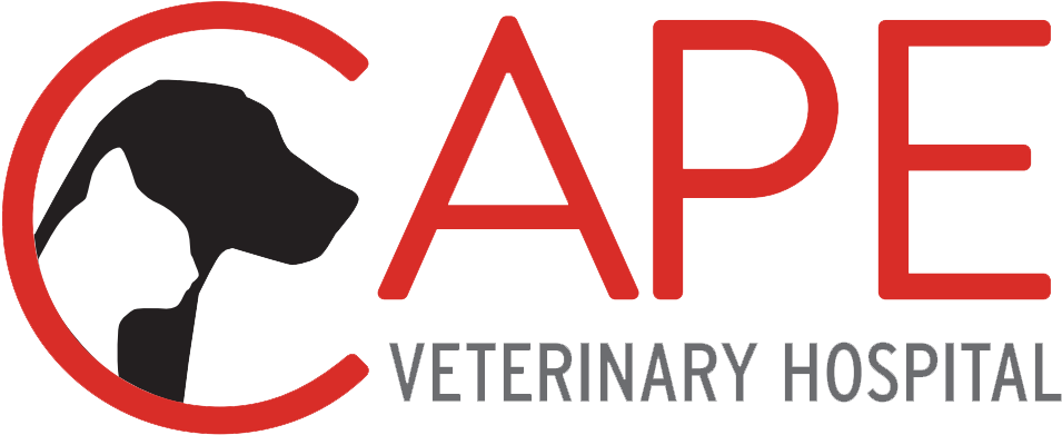 Clip Art - Png Download (1000x504), Png Download