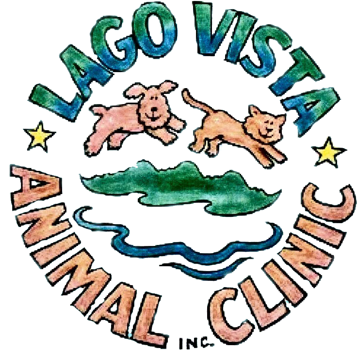 Clip Art - Png Download (752x768), Png Download