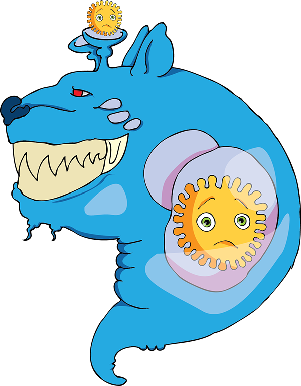 Drawing Clipart (600x770), Png Download