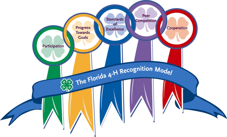 Clip Art - Png Download (889x537), Png Download