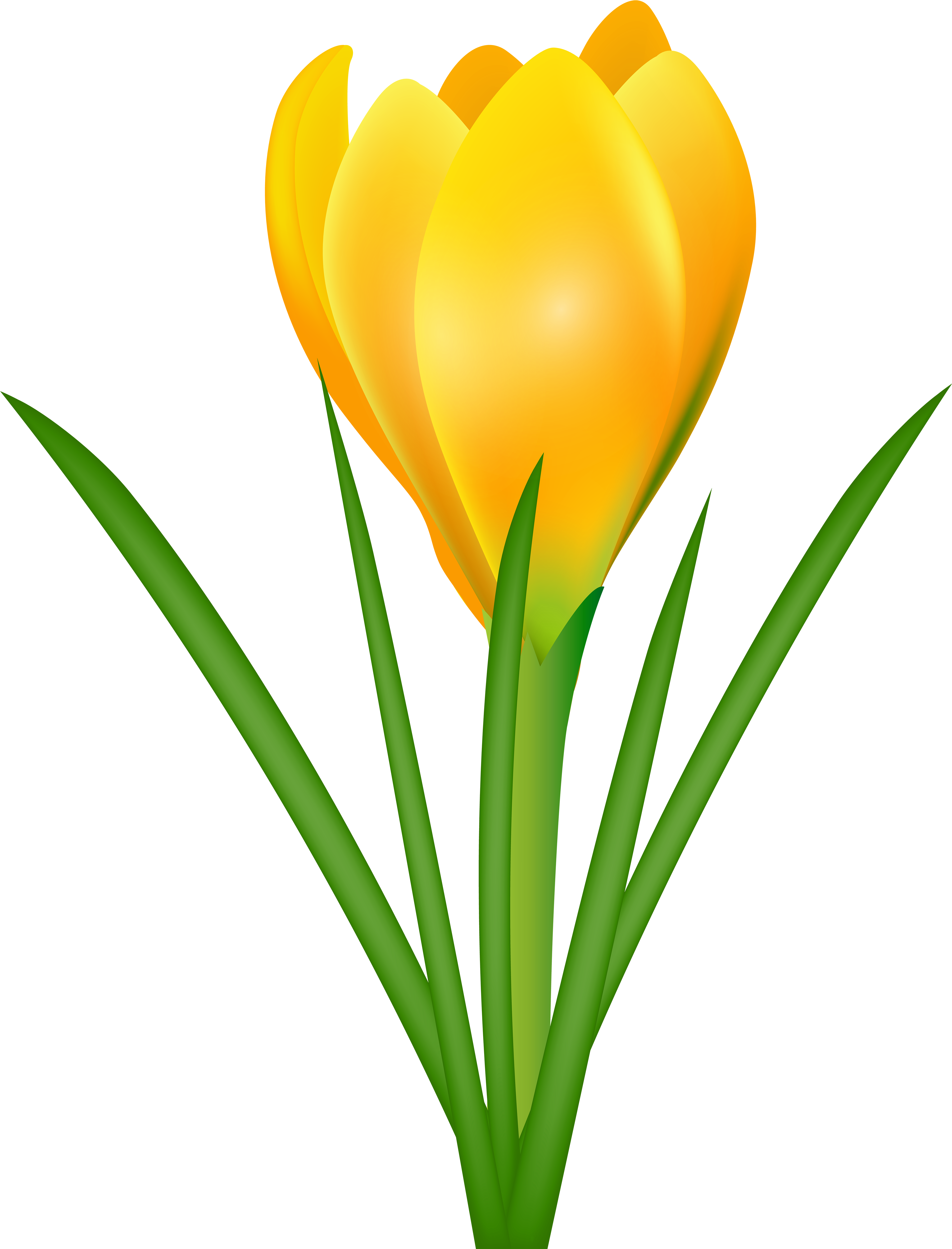 Yellow Crocus Transparent Png Clip Art Image - Crocuses Clipart (4615x6000), Png Download