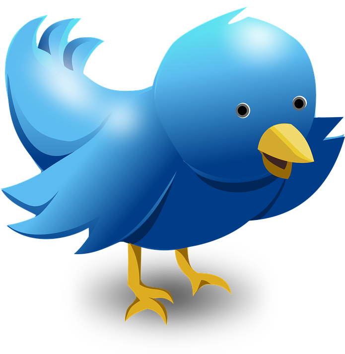 Little Blue Bird - Bird Twitter Logo 3d Clipart (617x630), Png Download