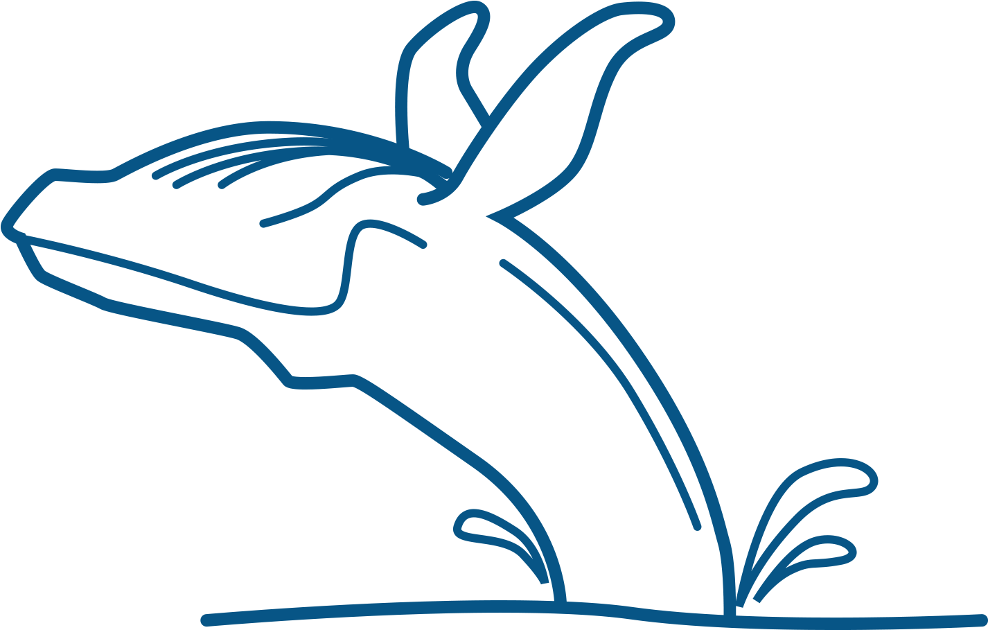 Clip Art - Png Download (1920x1080), Png Download