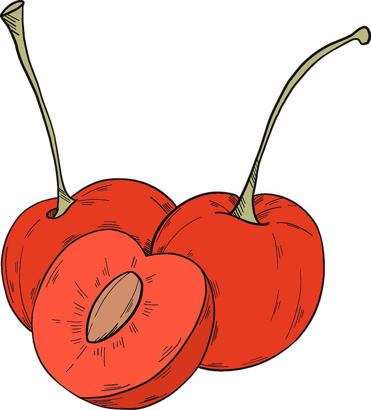 Cherries Clipart - Png Download (723x800), Png Download