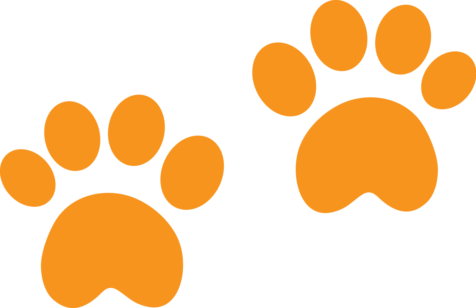 Huellas De Perro Png Clipart (1550x1004), Png Download