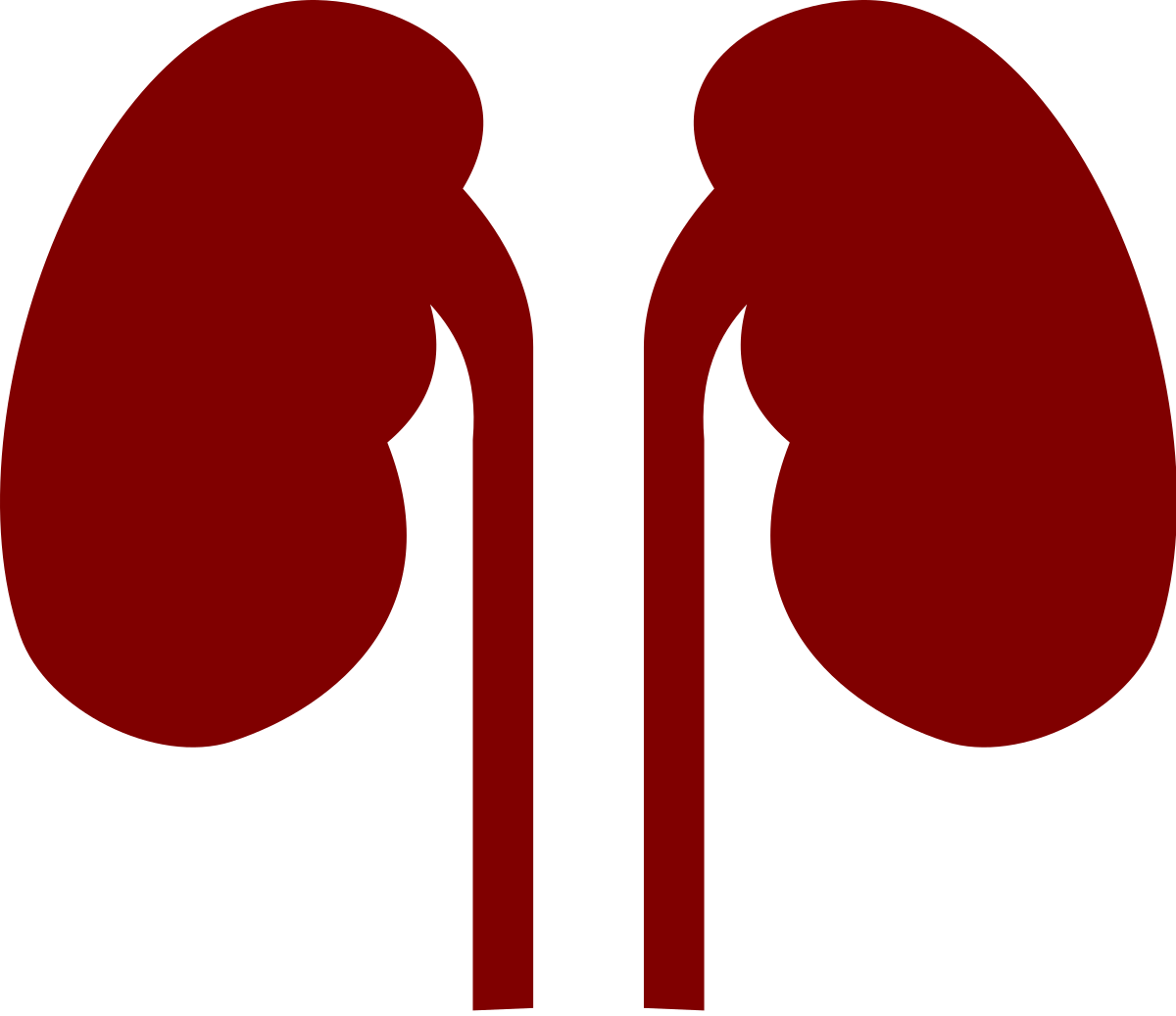 Transparent Kidneys Clipart - Png Download (889x768), Png Download
