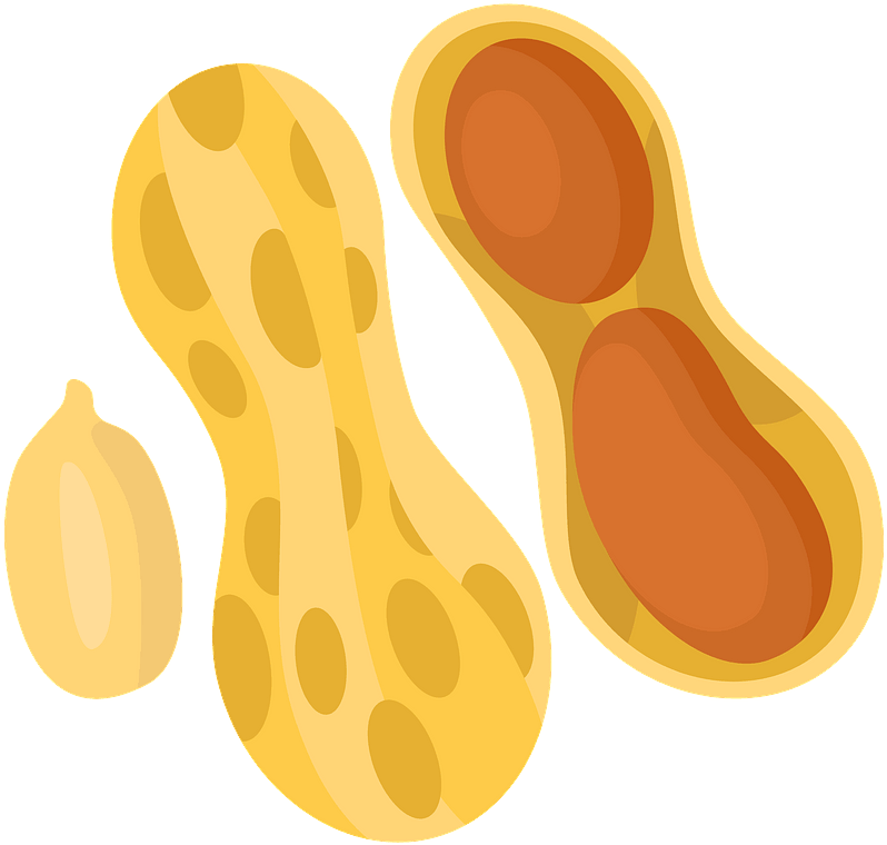 Maní Clipart - Png Download (800x771), Png Download