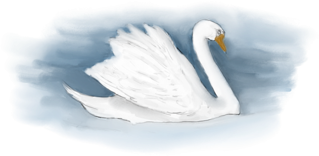 Tundra Swan Clipart (1024x514), Png Download