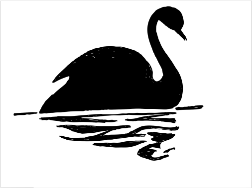 Black Swan Black And White Clipart (640x480), Png Download