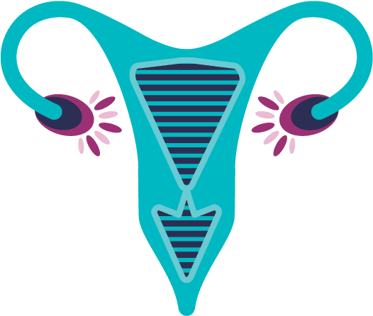 Gynaecology Png Clipart (568x567), Png Download