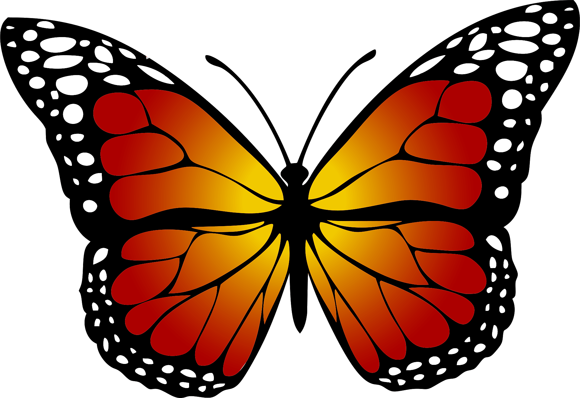 Monarch Butterfly Clipart Brown - Butterfly Picture For Kids - Png Download (960x660), Png Download
