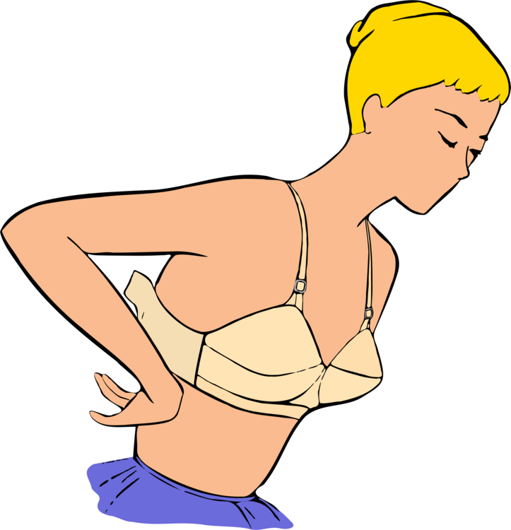 Art,thigh,trunk - Bra Clipart (723x750), Png Download