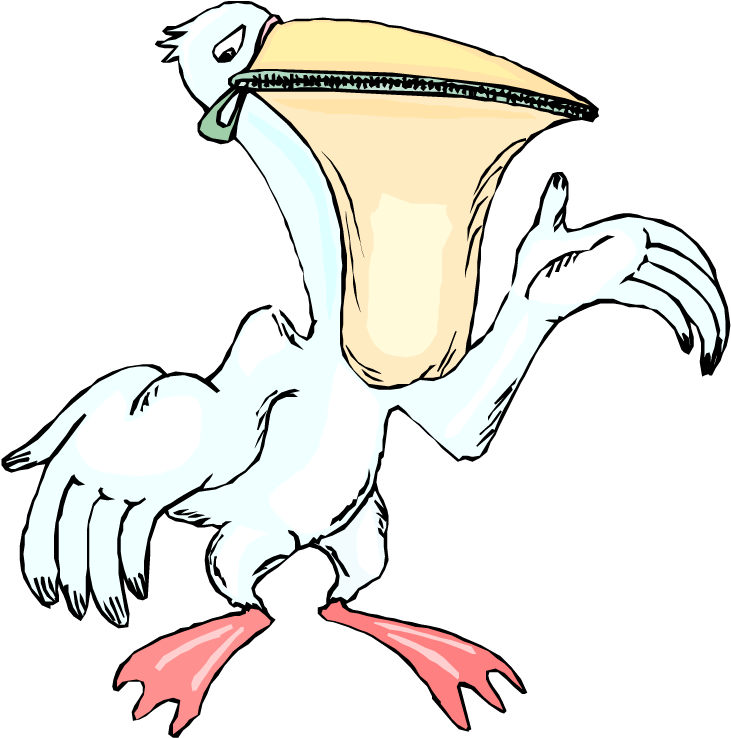 Dessin Pelican Clipart (750x750), Png Download