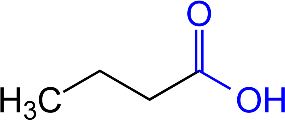 Butyric Acid Structural Formula V - 4 Pentenoic Acid Clipart (1024x448), Png Download