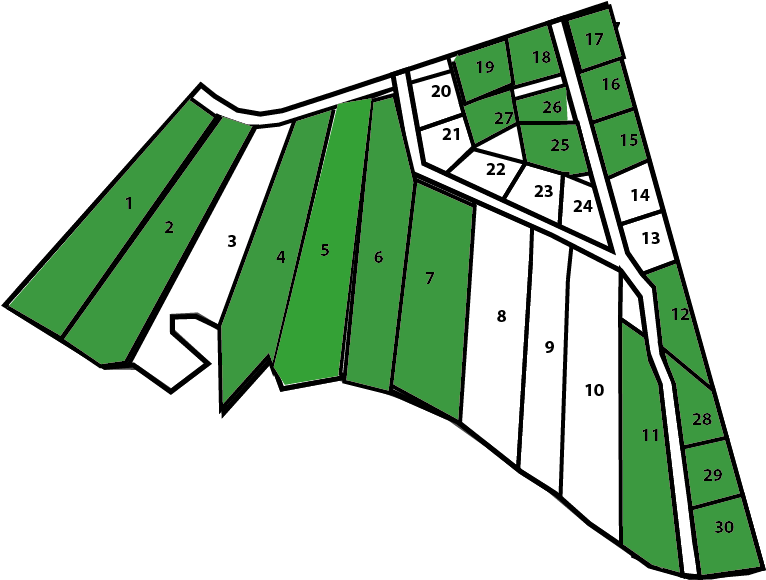 Illustration Clipart (1005x580), Png Download