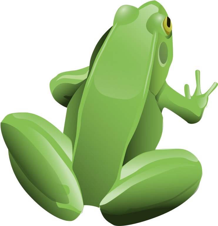 Tree Frog Download Computer Icons Lithobates Clamitans - Green Frog Shower Curtain Clipart (723x750), Png Download
