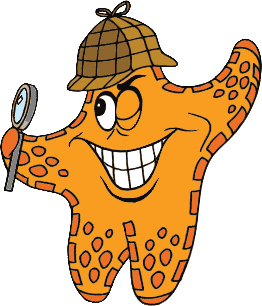 Are You A Water Star - Water Star Clipart (1011x1200), Png Download