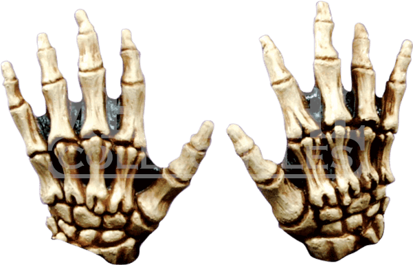 Colored Junior Skeleton Hs Clip Art Free - Manos De Una Calavera - Png Download (600x600), Png Download