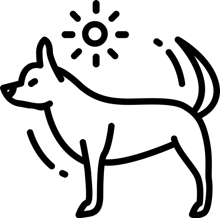 Chihuahua Rubber Stamp Dog, Cat Amp Fur Baby Stamps - Dog Clipart (700x695), Png Download