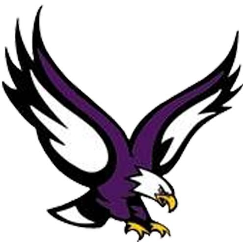 Bird Logos, Colour Schemes, Seahawks, Eagles, Color - Eau Claire Memorial High School Logo Clipart (720x540), Png Download