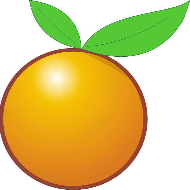 Cartoon Orange Clipart (636x634), Png Download