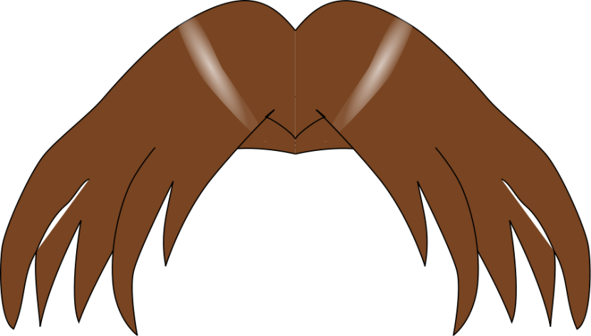 Hair Clipart - Hair Clip Art - Png Download (830x472), Png Download