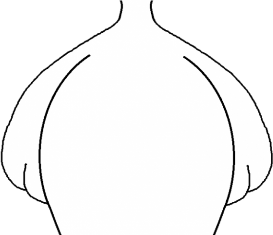 Circle Clipart (640x480), Png Download