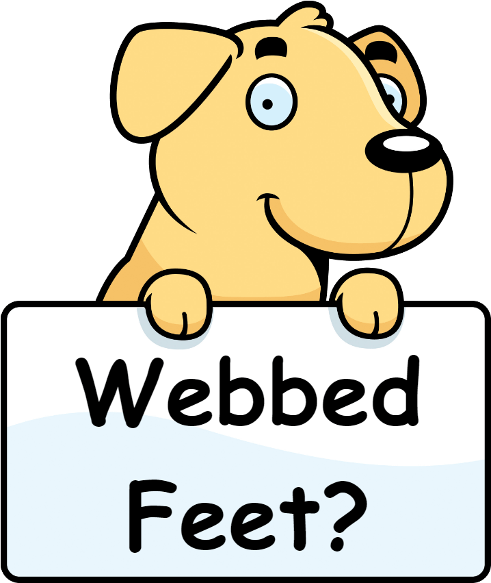 Drawing Of Dog Catching A Ball Clipart (900x900), Png Download