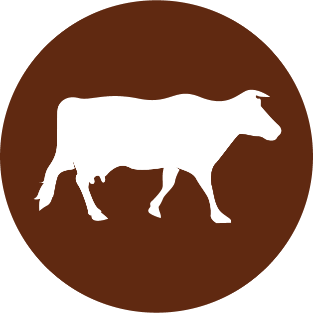 Ox Clipart (628x629), Png Download