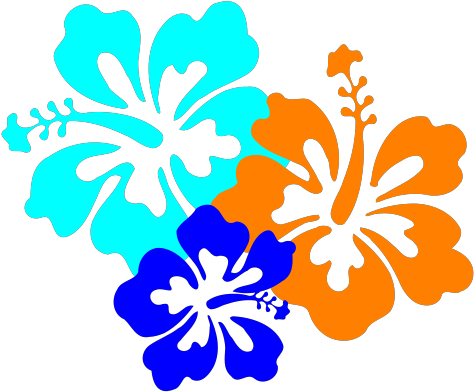 Transparent Background Hibiscus Flower Clipart - Png Download (1024x1024), Png Download